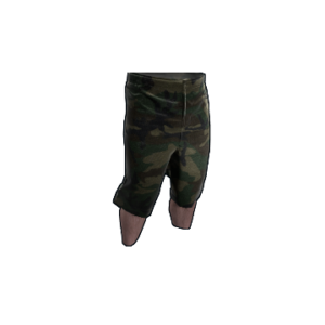 Camo Shorts